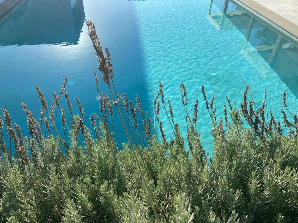 Rosemarine Villas دراس المظهر الخارجي الصورة