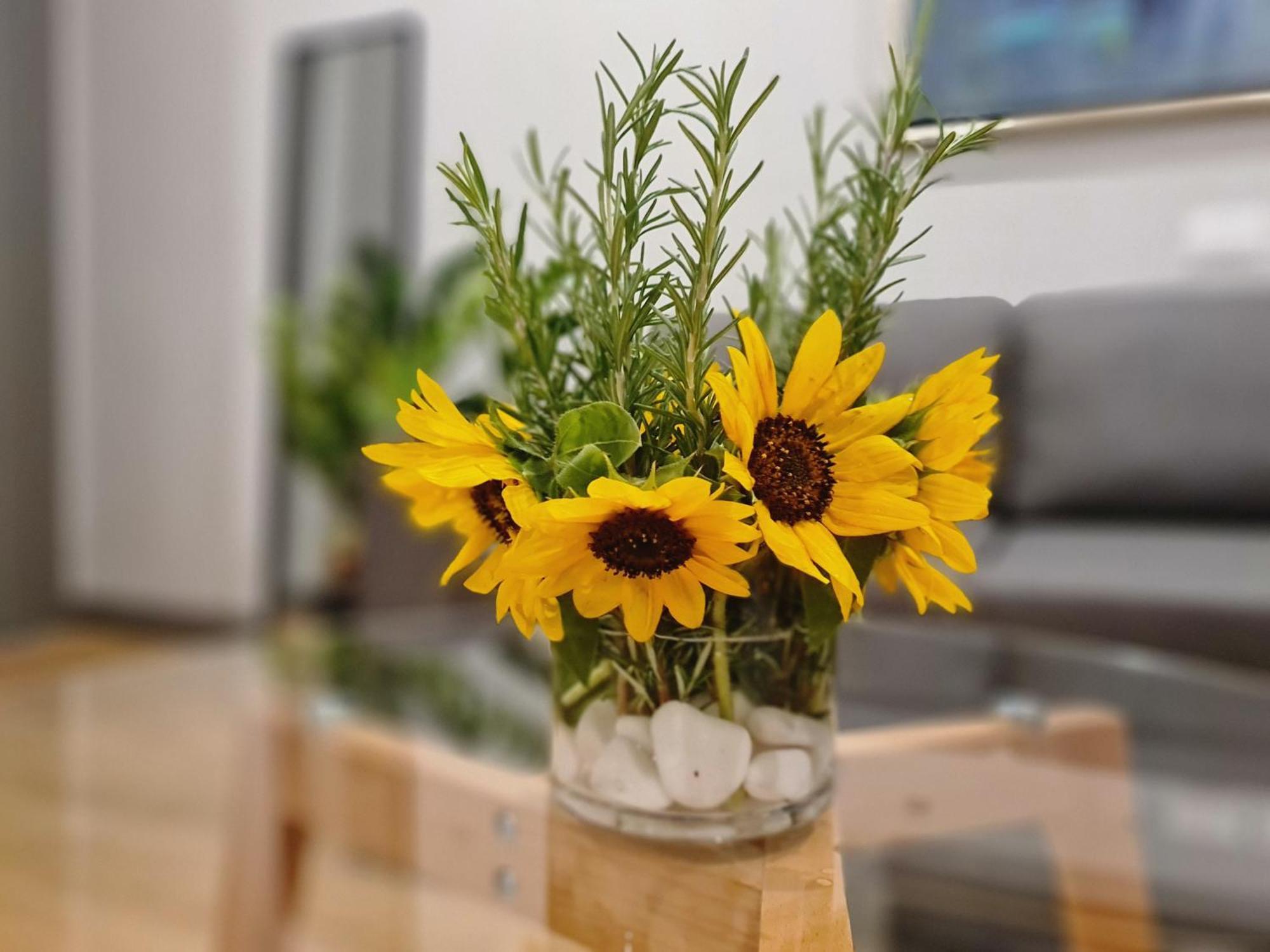 Rosemarine Villas دراس المظهر الخارجي الصورة